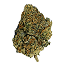 weedstrain.com