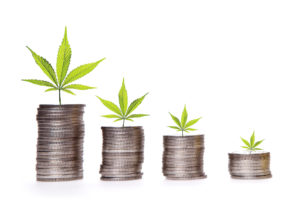 cannabis-money-2-300x212.jpg