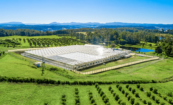 Green-Farmers-Lismore.png