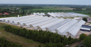 Denmark-acility-300x157.png