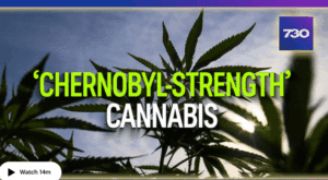ABC-7.30-video-image-300x165.png