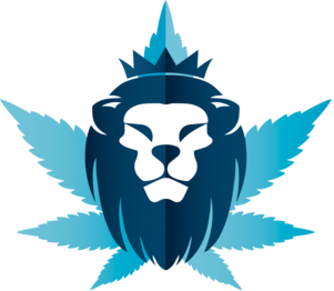 www.iceheadshop.co.uk