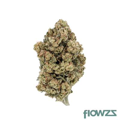 flowzz.com