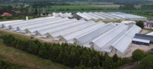 LGP-Denmark-300x137.png